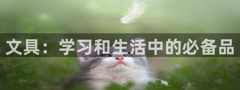彩名堂计划技巧：文具：学习和生活中的必备
