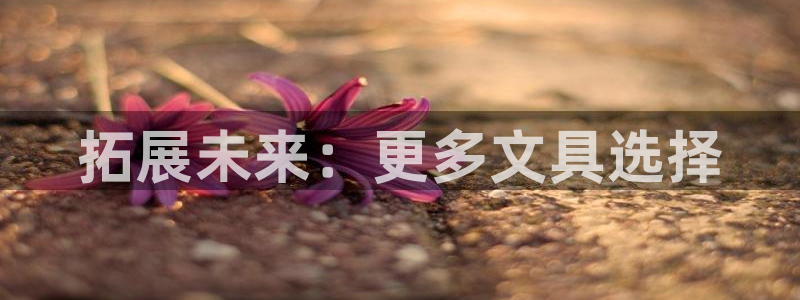 彩名堂计划真的准吗：拓展未来：更多文具选