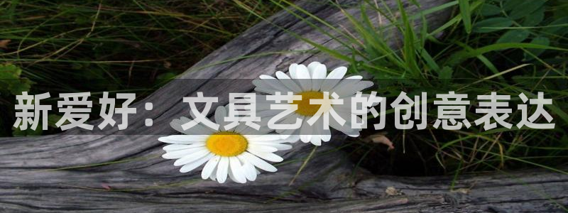 彩名堂怎么选稳定计划产品：新爱好：文具艺