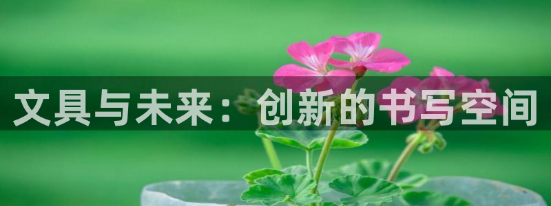 彩名堂免费计划软件下载：文具与未来：创新