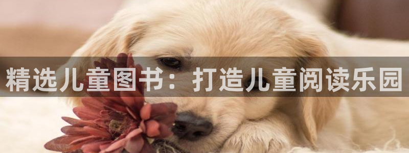 彩名堂人工计划怎么找不到下载了?：精选儿