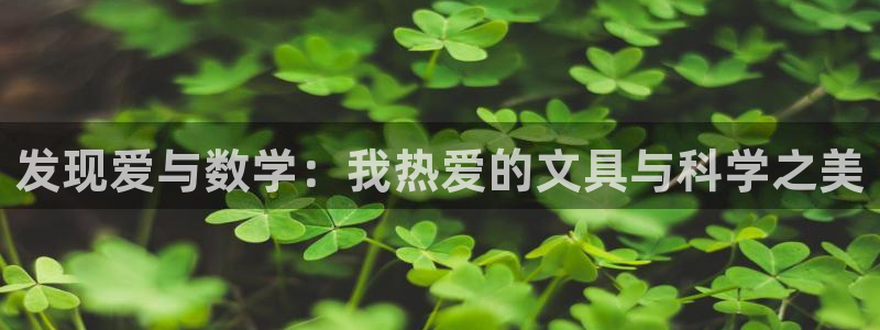 彩名堂官方平台：发现爱与数学：我热爱的文