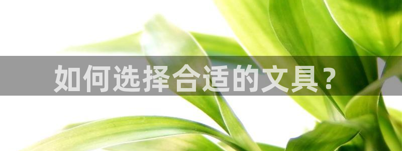 彩名堂怎么跟计划才不连挂呢：如何选择合适