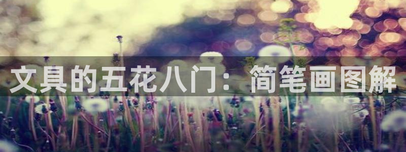 彩名堂客户端是永久免费吗安全吗苹果：文具