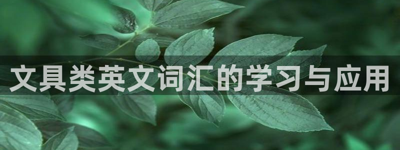 彩名堂怎么样：文具类英文词汇的学习与应用