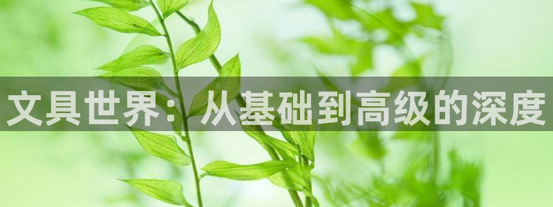彩名堂免费计划官网怎么进不去了：文具世界