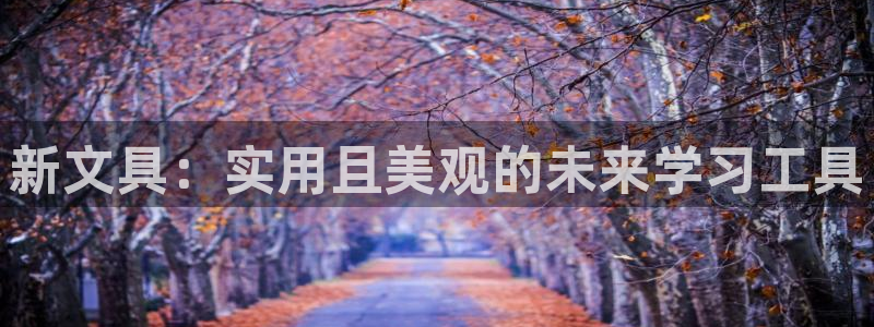 彩名堂预测官网：新文具：实用且美观的未来