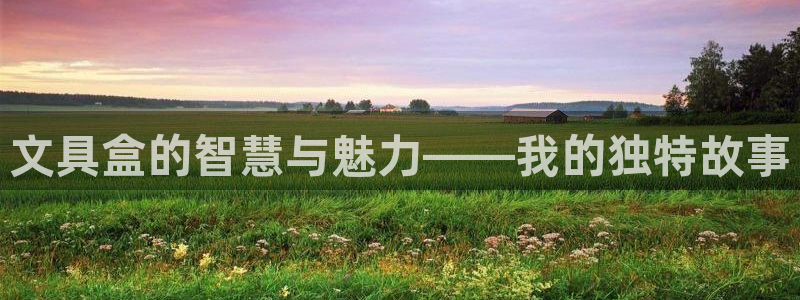 彩名堂怎么买准确率高一点：文具盒的智慧与