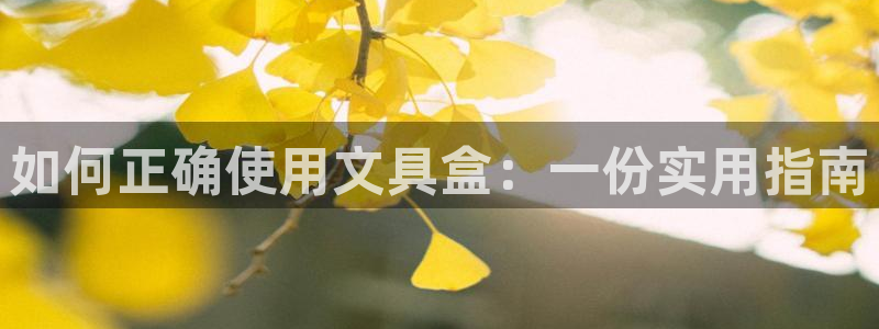 彩名堂官网谁有：如何正确使用文具盒：一份