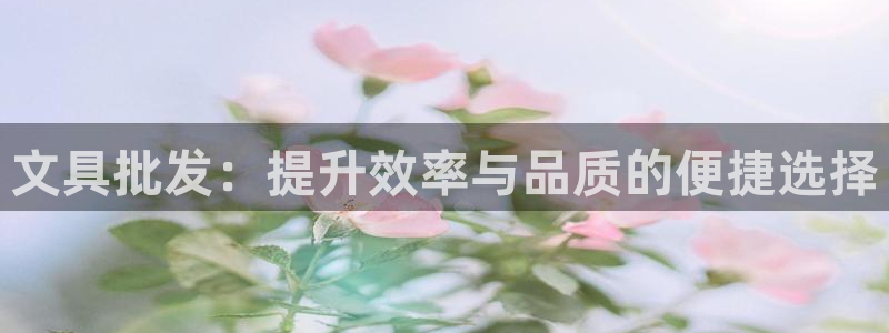 彩名堂5.0版计划怎么用不了：文具批发：