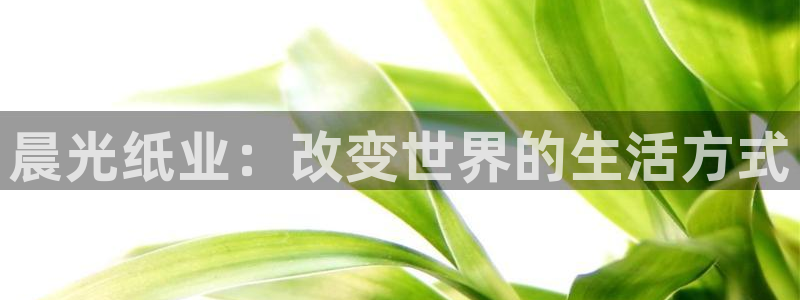 彩名堂官网计划：晨光纸业：改变世界的生活