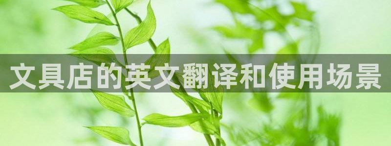 彩名堂5.0!：文具店的英文翻译和使用场