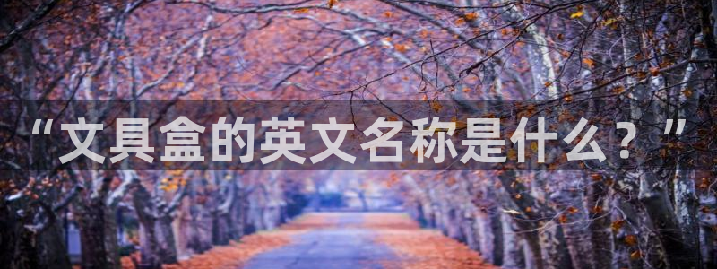 彩名堂怎么买准确率高一点：“文具盒的英文