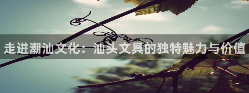 彩名堂免费计划官网50下载957：走进潮