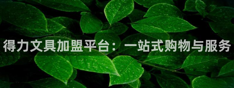 彩名堂为啥又不能用了：得力文具加盟平台：