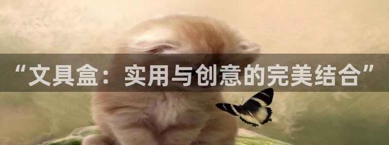 彩名堂5.0!：“文具盒：实用与创意的完