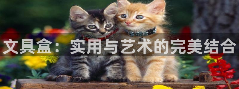 彩名堂官网2：文具盒：实用与艺术的完美结