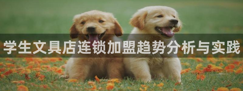 下载彩名堂预测计划软件：学生文具店连锁加