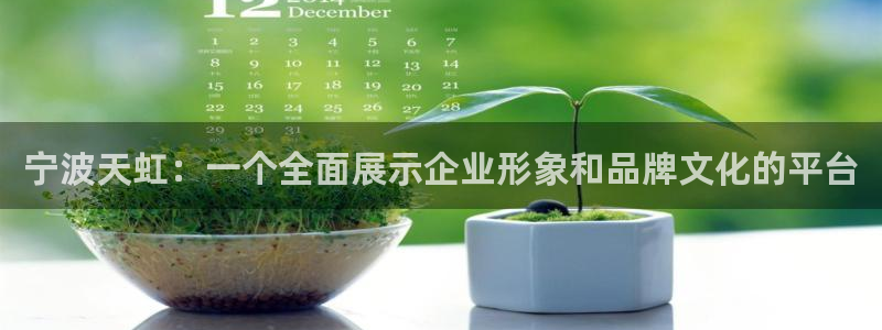 彩名堂首页：宁波天虹：一个全面展示企业形