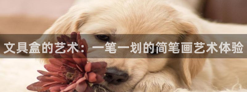 彩名堂app官网：文具盒的艺术：一笔一划