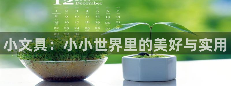 彩名堂免费计划官网怎么进不去了呢：小文具