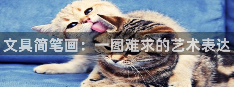 彩名堂怎么选稳定计划：文具简笔画：一图难