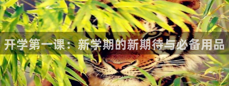 彩名堂下载官网：开学第一课：新学期的新期