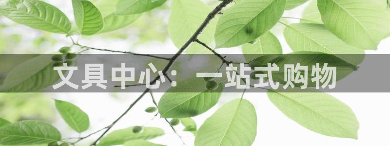 彩名堂移动客户端：文具中心：一站式购物