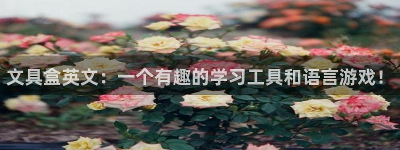 彩名堂免费计划官网5.0.0：文具盒英文