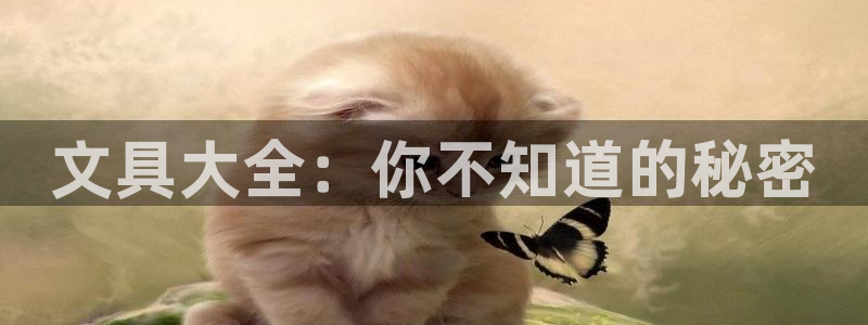 彩名堂免费计划官网老版本：文具大全：你不