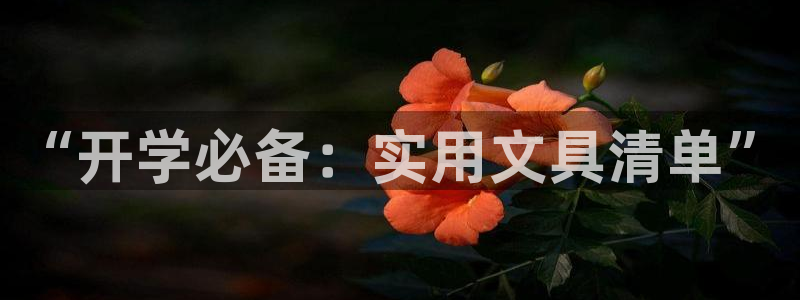 彩名堂预测软件：“开学必备：实用文具清单