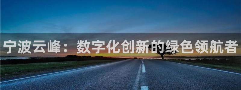 彩名堂平台：宁波云峰：数字化创新的绿色领