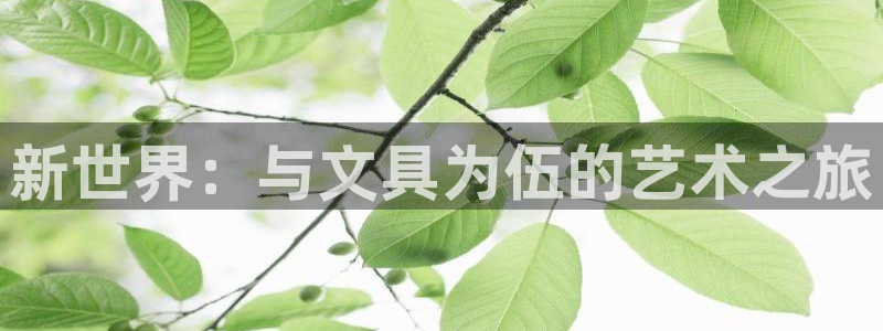 老版彩名堂：新世界：与文具为伍的艺术之旅