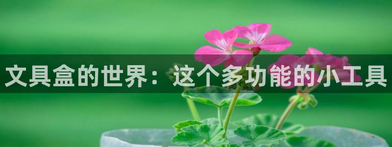 彩名堂为啥又不能用了：文具盒的世界：这个