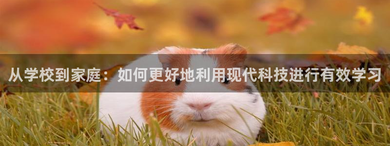 最新彩名堂计划：从学校到家庭：如何更好地