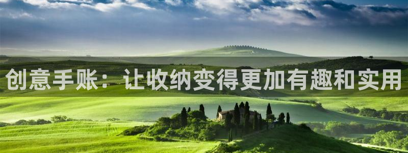 彩名堂免费计划官网怎么进不去了：创意手账