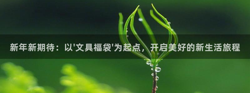 彩名堂为什么突然不能用了