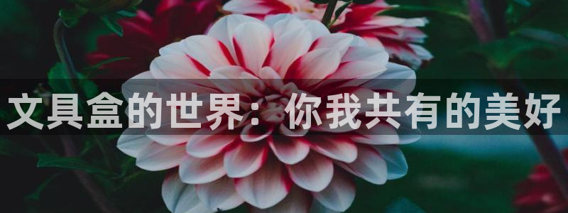 彩名堂app彩名堂客户端