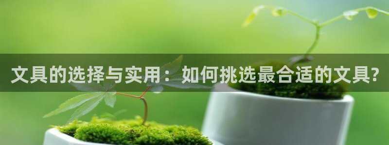 彩名堂官网谁有