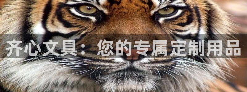 彩名堂5.0