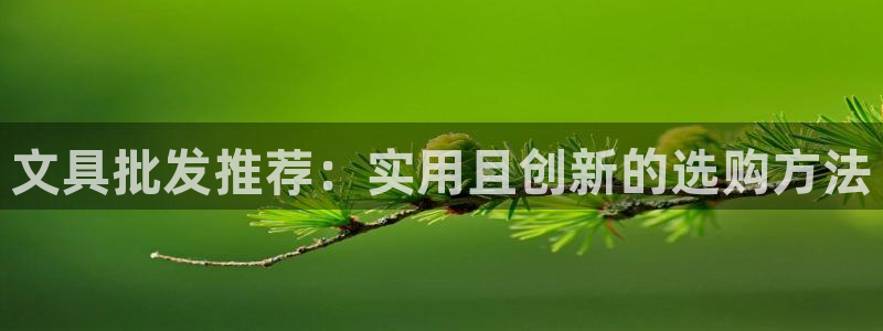 彩名堂的拼音：文具批发推荐：实用且创新的