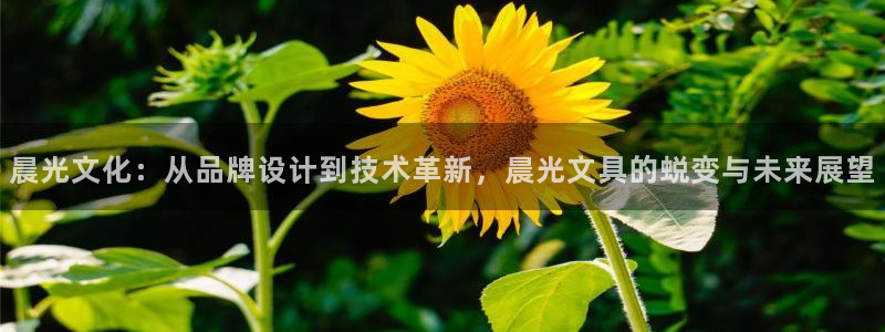 彩名堂免费计划官网老版本