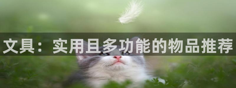 彩名堂好用还是千里马好用一点：文具：实用