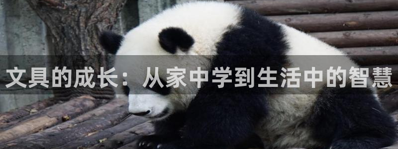 彩名堂免费计划使用方法