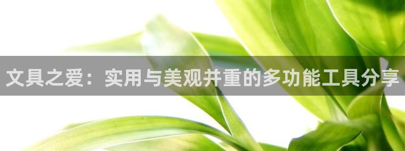 彩名堂官方平台：文具之爱：实用与美观并重