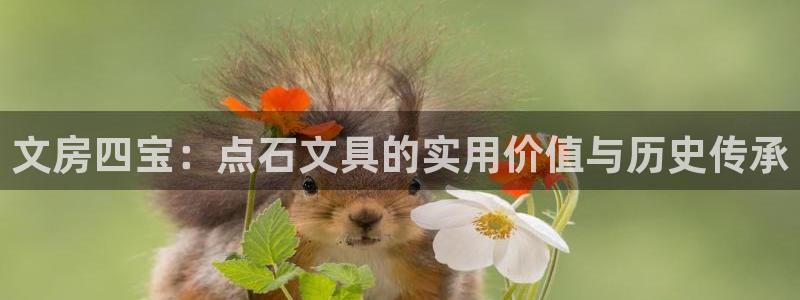 彩名堂预测官网