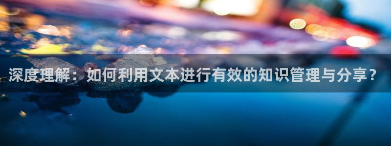 彩名堂预测网站：深度理解：如何利用文本进