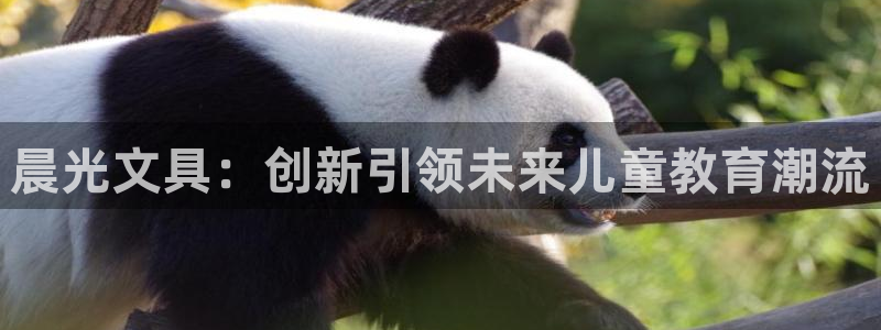 彩名堂免费计划官网5.0app：晨光文具