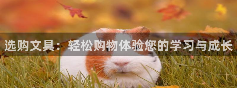 彩名堂app计划官方网站：选购文具：轻松