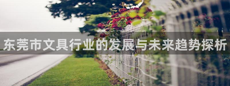 下载彩名堂预测计划软件安卓：东莞市文具行
